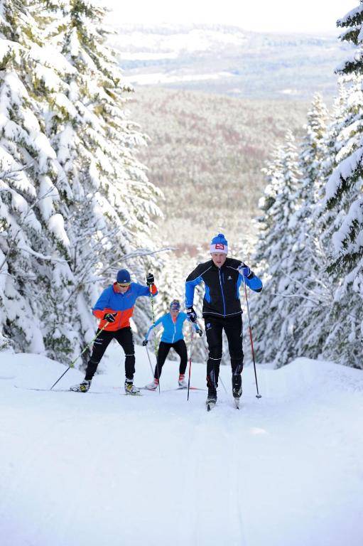 First Camp Moraparken - Dalarna