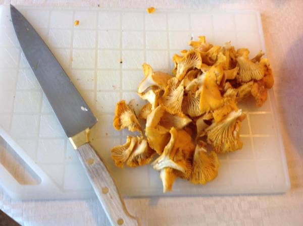 STF Vandrarhem Edsbyn