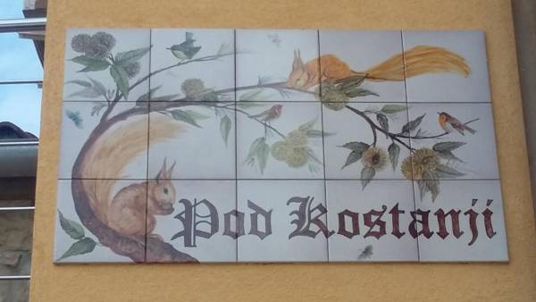 Apartment Pod Kostanji