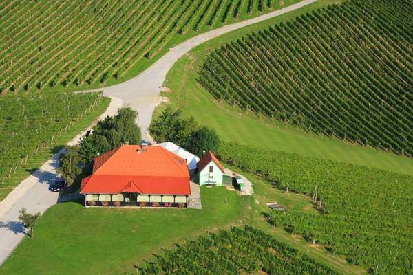 Wine Grower's Mansion Zlati Gric