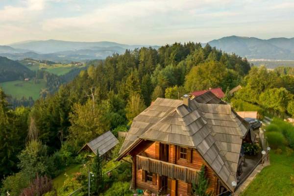 Chalet Podgorje With Pool