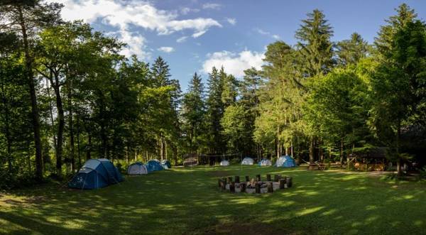 Forest Camping Mozirje