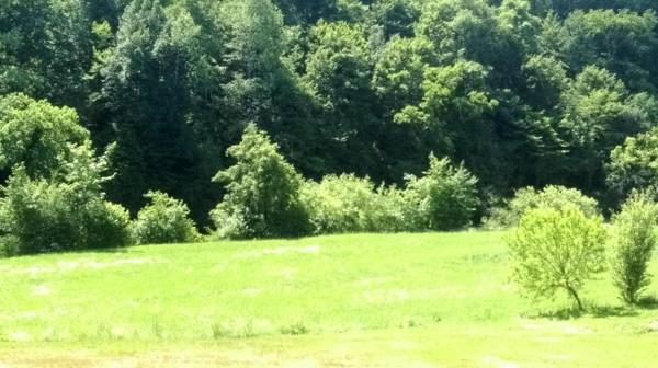 Lahinja & Kolpa river apartments