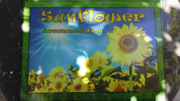 Sunflower Accommodation