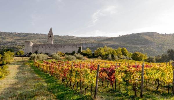 Apartment Bella Rosa