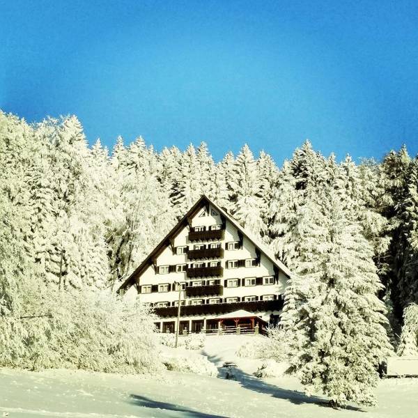 Hotel Tisa Pohorje