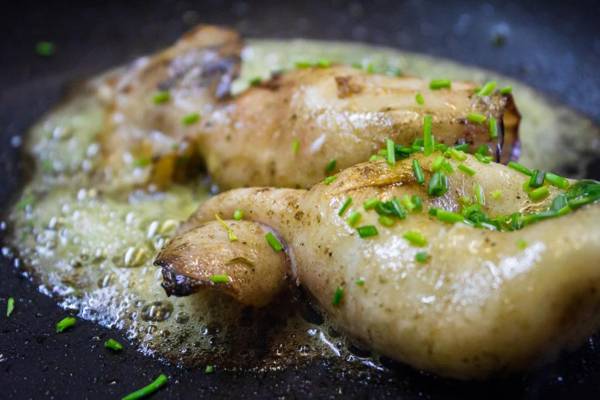 Hotel Krona Domžale