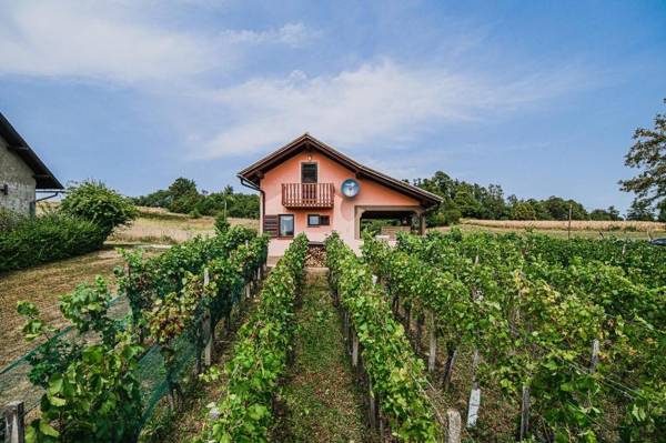 Holiday Home Vesna with Hot Tub