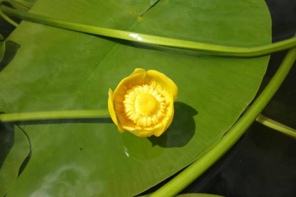 House Mavko Near Lake Cerknica