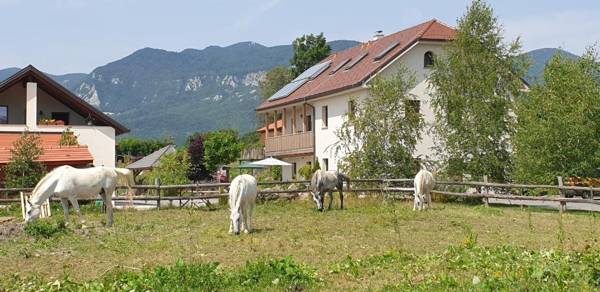 Lipizzaner Lodge Guest House