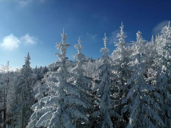 POHORJE HOUSE 2 FOUR APPARTMETNS
