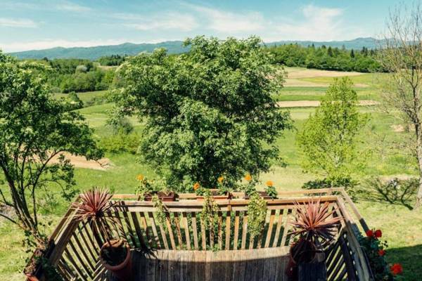 Homestead Bahor With Whirlpool