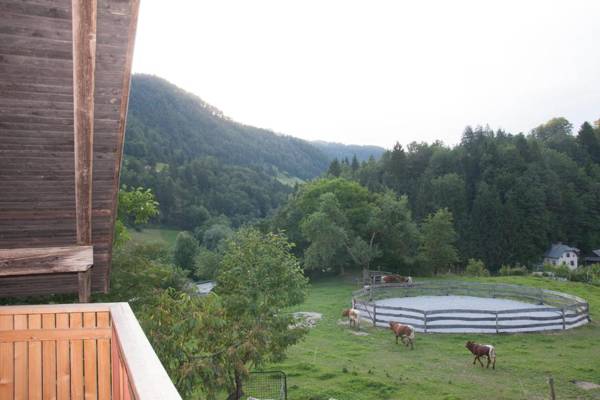 Apartment Pri Boštjanovcu