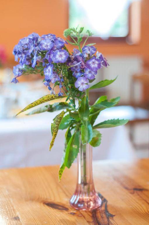 Country House Slemenšek