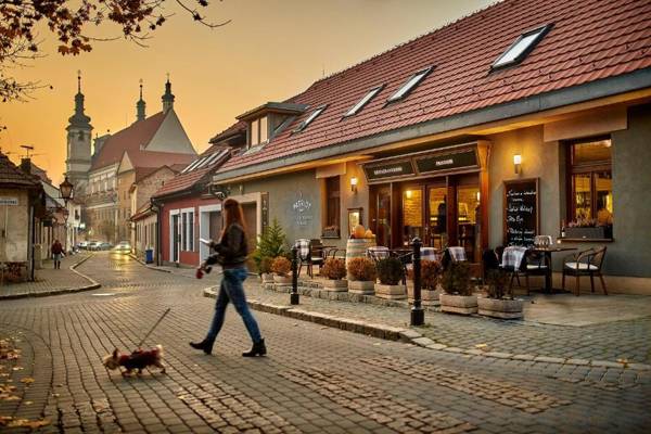 Pension & Restaurant Patriot Trnava