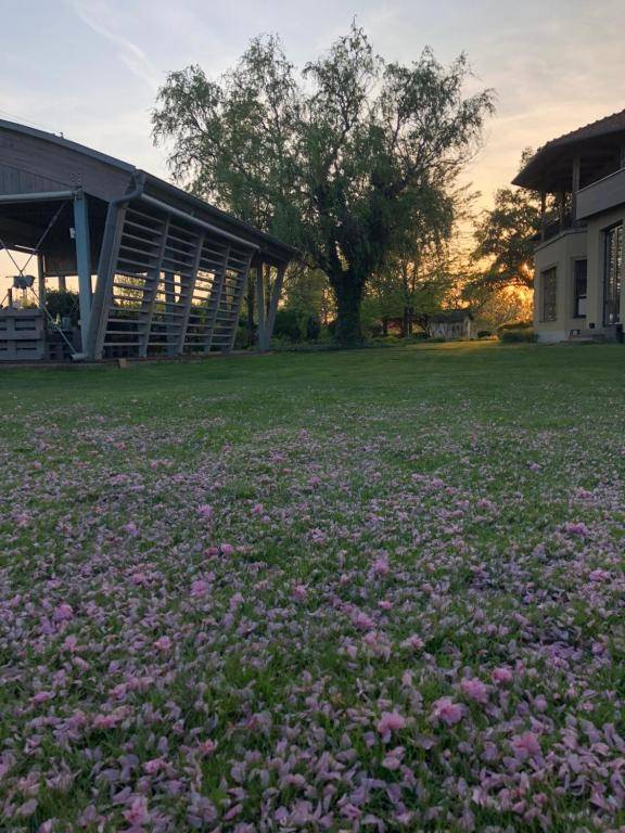 Divá Kačica Restaurant & Pansion