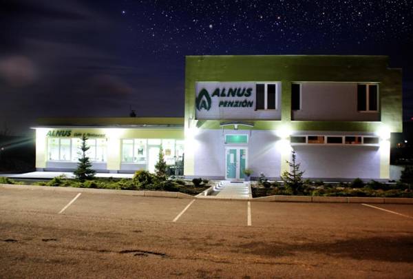 Alnus Penzion