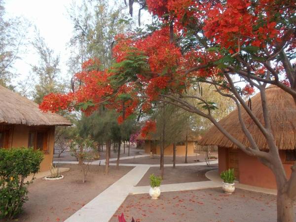 le baobab de nianing