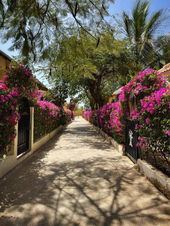 Adjana Resort - Résidence Du Port et ailleurs sur la Petite Côte