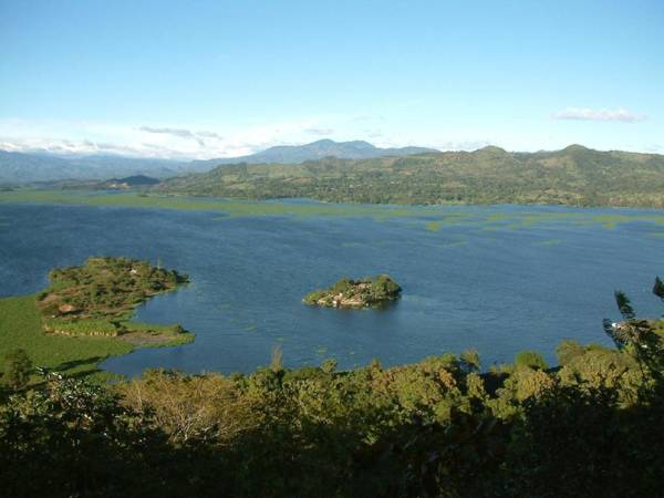 Los Almendros de San Lorenzo