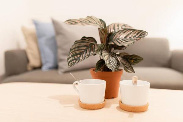 Hotel PAPA Bangkok Siriraj