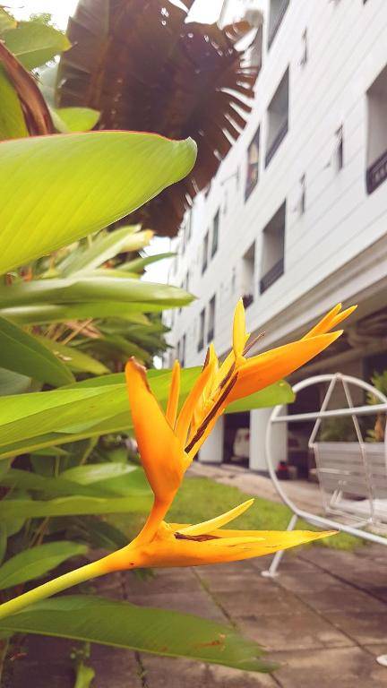 THE 20 @Sukhumvit 77