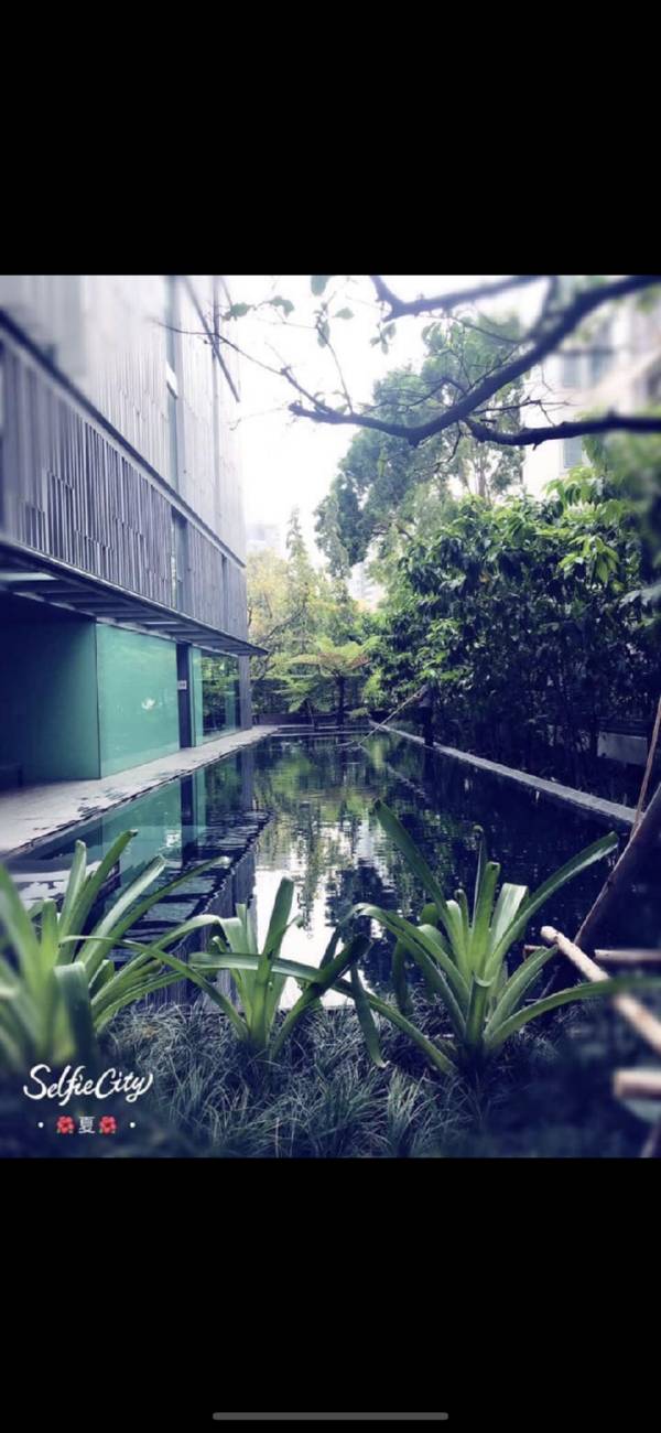 Set in the peace and cosy one bedroom suite