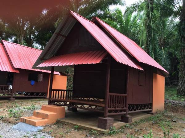 Khao Sok Evergreen House