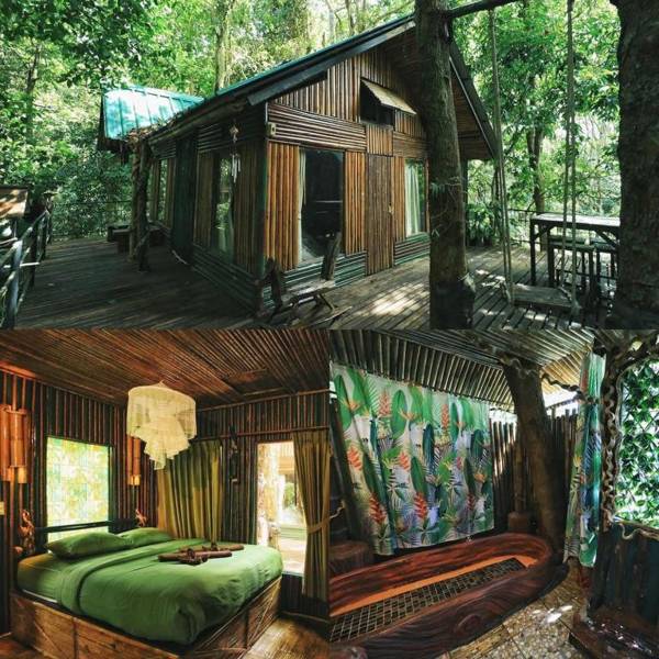 Khao Sok Tree House Resort