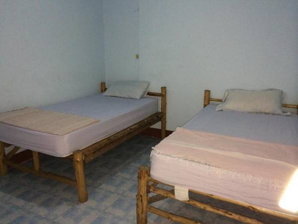 Kiwi Orchid & PL Guesthouse