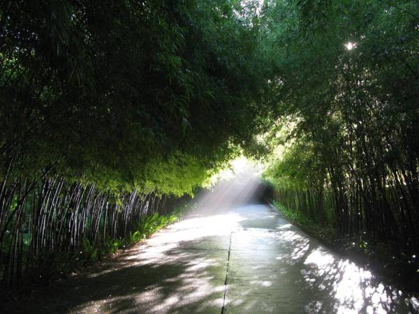 The Pavilions Phuket - SHA Extra Plus