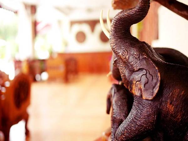 The Orchid House - SHA Extra Plus