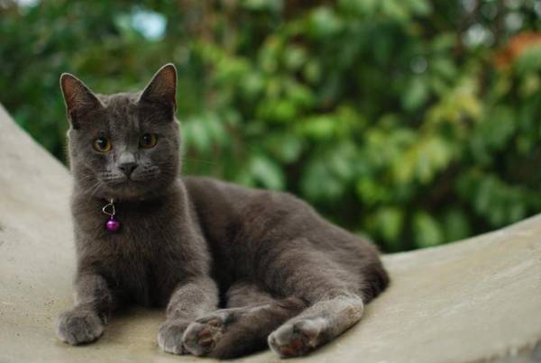 Baan Trok Bedroom Studio Maikhao