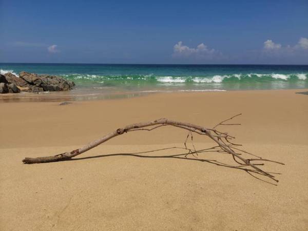 Sealord Naithon Beachfront Phuket 