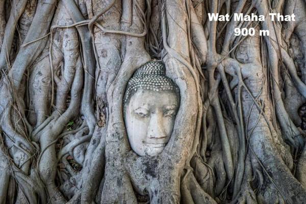 Early Bird Hostel Ayutthaya