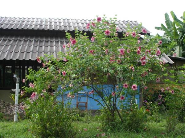 Good Morning Pai House