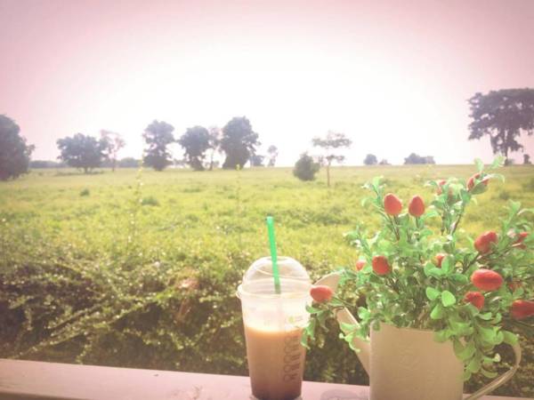 Thorfun Guesthouse in the Garden