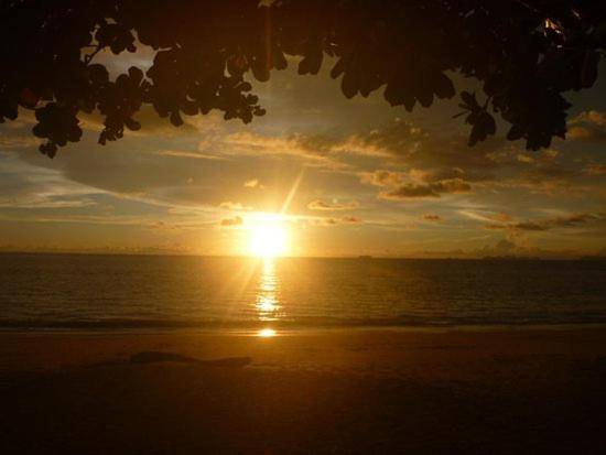 Green Chilli Bungalows