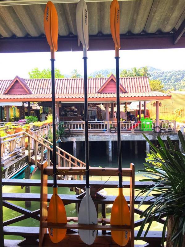 The mangrove old town