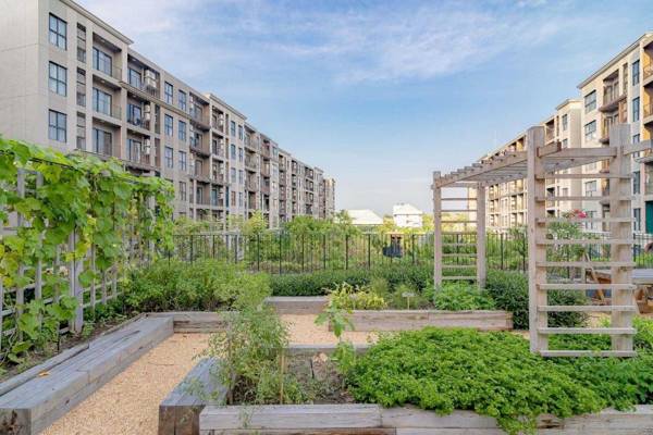 La habana huahin by Babara