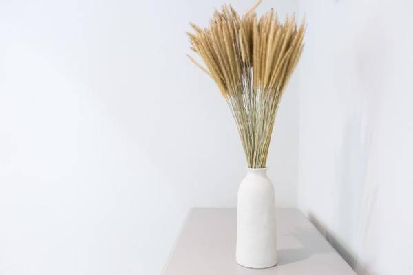 Merchant House Chiangmai