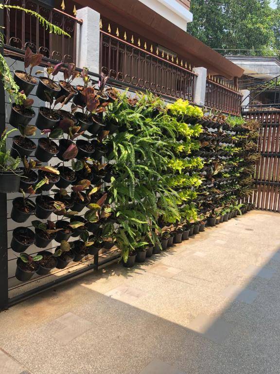 Celosia Chiang Mai Hotel