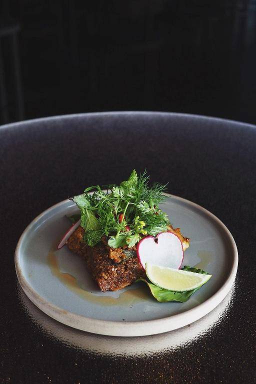 Little Shelter SHA Plus