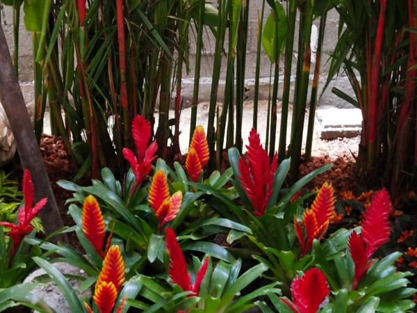 Hotel De Sripoom -SHA Extra Plus