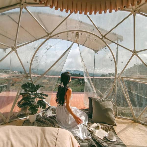 Monchapaplearn ม่อนชาพาเพลิน