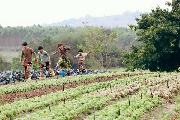 COOLLiving Farmhouse Organic