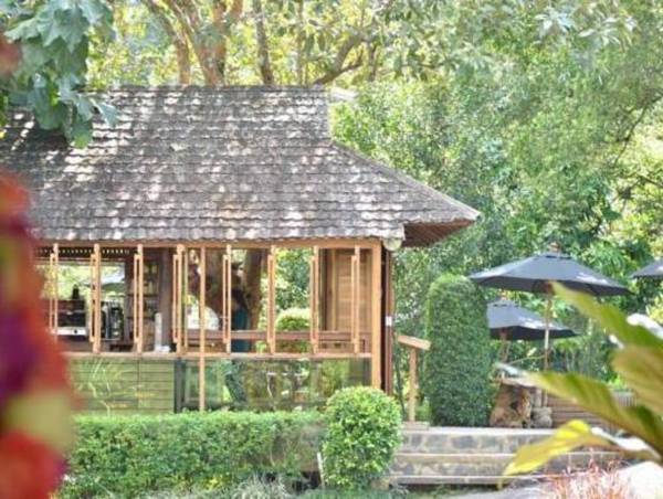 32 Coffee Hill & Resort