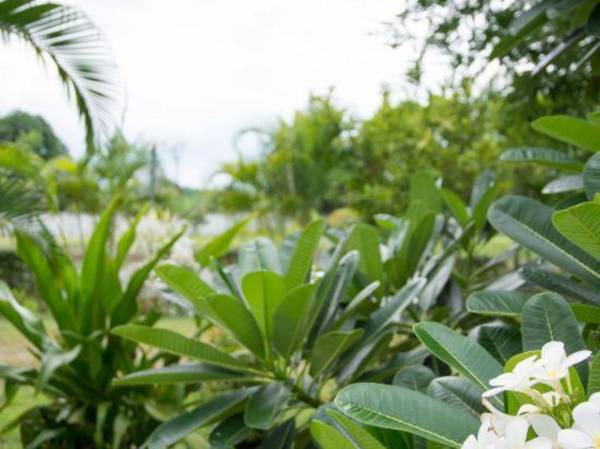 Chum Phae Lagoon Resort
