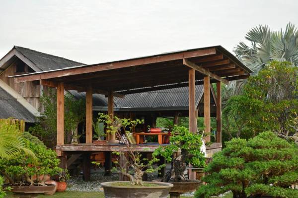 18 Bonsai Garden Resort