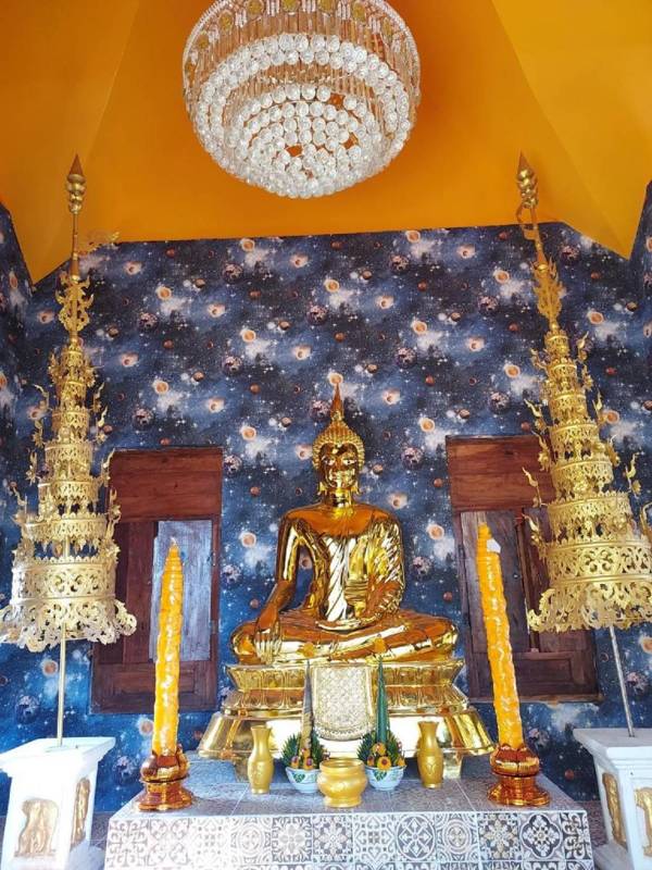 Jungle Moon Homestay